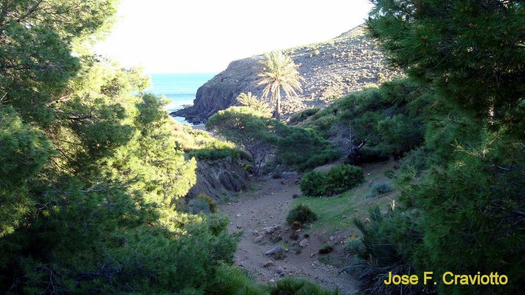 Apartamento Del Mar La Isleta Del Moro Appartement Buitenkant foto